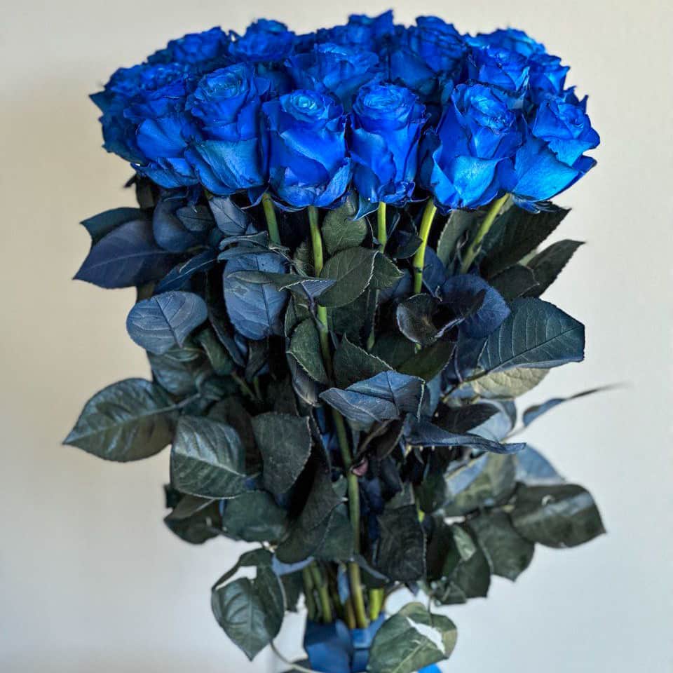 Order Blue Roses Unique Elegance: Blue Roses for Valentine's Day in Burbank, Los Angeles, CA